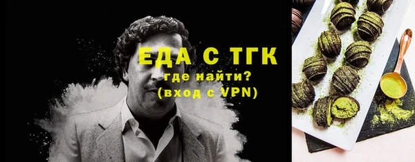 мдпв Ельня