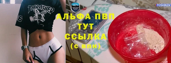 мдпв Ельня