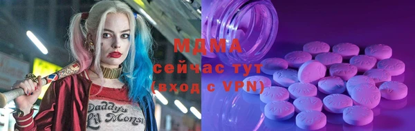 мдпв Ельня