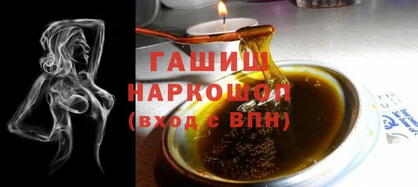 мдпв Ельня