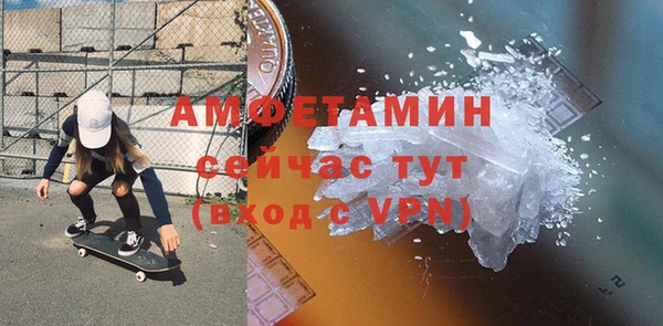 мдпв Ельня
