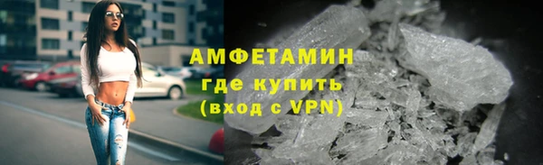 мдпв Ельня