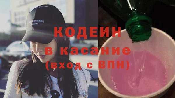 мдпв Ельня