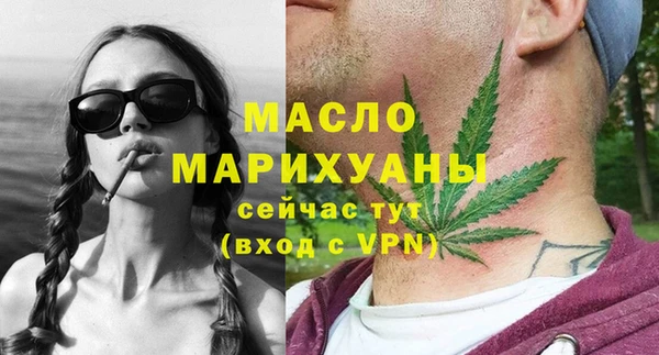 мдпв Ельня