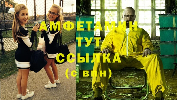 мдпв Ельня