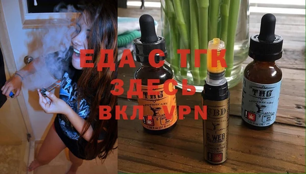 мдпв Ельня