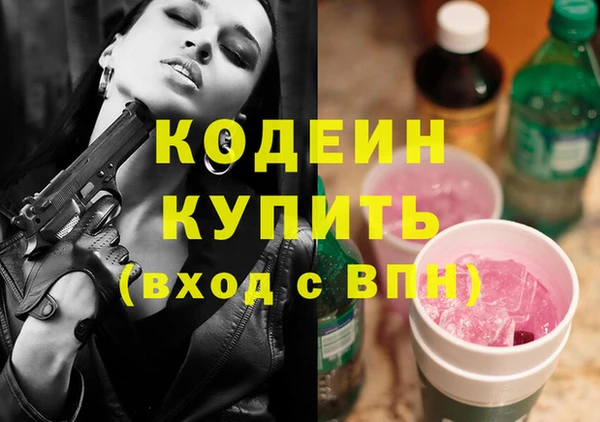 мдпв Ельня