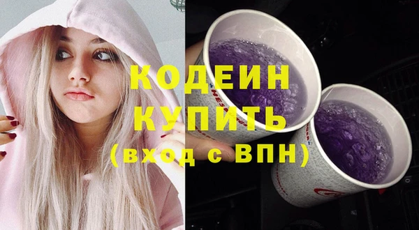 мдпв Ельня