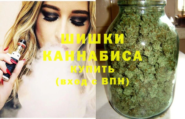 мдпв Ельня