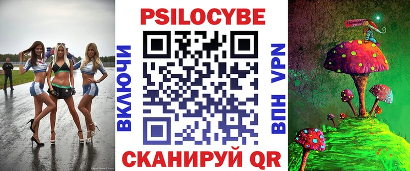 Купить  Печоры  Псилоцибиновые грибы Psilocybe 